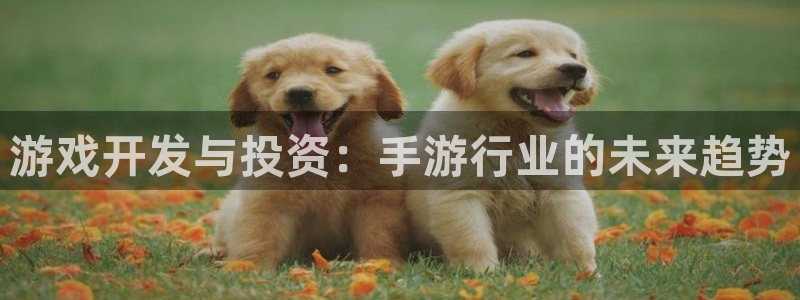 银河(galaxy)官网PC官网