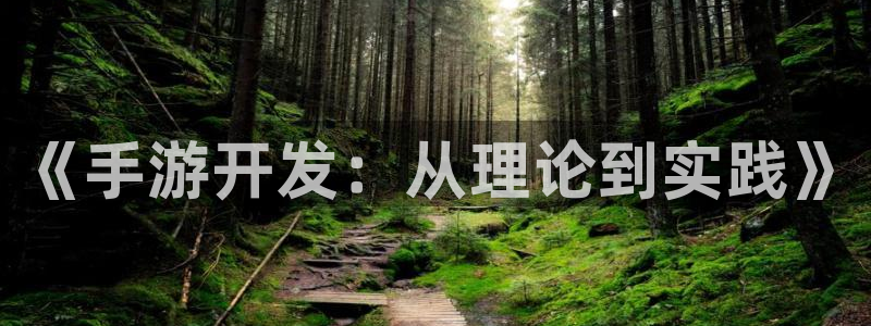 28大神怎么用不了：《手游开发：从理论到实践》