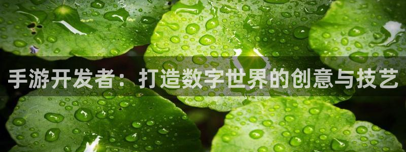 28大神软件不能用了：手游开发者：打造数字世界的创意与技艺