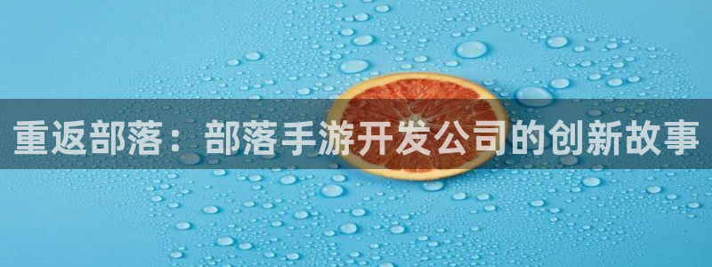大神pc28官网开奖：重返部落：部落手游开发公司的创新故事