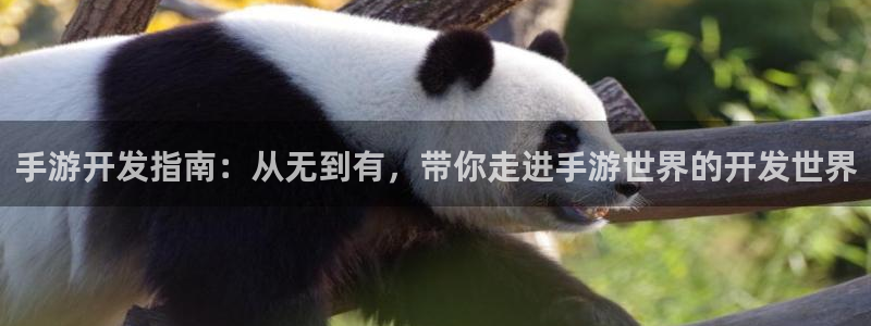 28大神预测吧：手游开发指南：从无到有，带你走进手游世界的开