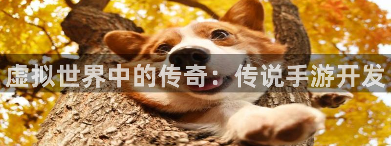 大神pc28预测：虚拟世界中的传奇：传说手游开发